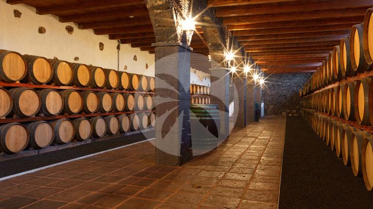 winery estate Lanzarote